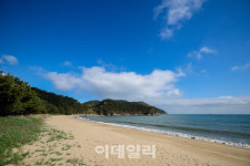 바비큐 파티에 축구 입중계까지…섬 야영장서 이색 캠핑
