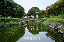 먹고 걷고 또 먹고 지친 내삶에 약손[여행]