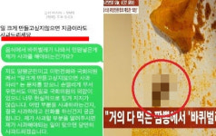 바퀴벌레 짬뽕 신고에...군 의장 내 지인, 식당에 사과해