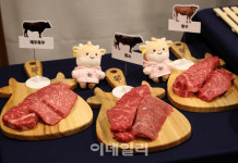 [포토] 토종 한우 제주흑우-칡소-황우