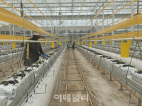 직장인에서 연매출 1.8억 청년농으로…혁신밸리서 꿈 키웠죠