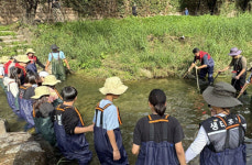 LX판토스, 청계천서 생태계 복원활동 진행