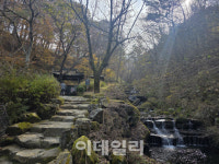 청정이 숨 쉬는 방태산 아침가리숲, 명품 계곡 낀 트레킹 성지