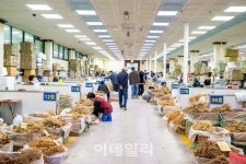 삼(蔘)의 향기를 따라 비단 산을 찾아가다 [여행]