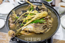 삼(蔘)의 향기를 따라 비단 산을 찾아가다 [여행]