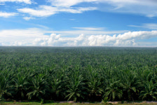 “포스코인터 팜 농장 기업 인수, 중장기 성장 위한 신규 인수”