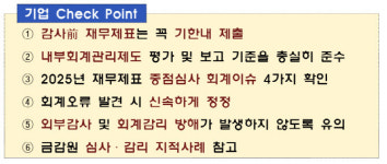 금감원 