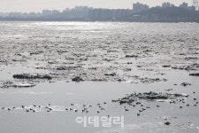 [포토]꽁꽁 언 한강과 오리