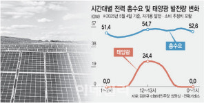 늘어나는 태양광 시설, 전력 공급 과잉 땐 대정전 날수도…통제책 시급