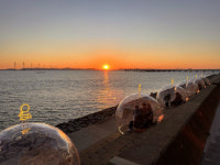 시흥 거북섬, 소설 어린왕자 콘셉트 도입 지역 명소 됐네