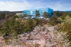 [포토] WE호텔제주, ‘Blossom Stay’ 패키지