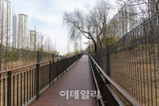 [포토] 마포구, 우리가족의 숲 산책로 조성