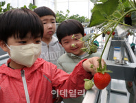 [포토] 스마트팜 현장학습