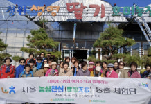 [포토] 딸기농장 체험하는 농심천심 농촌 체험단