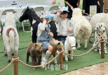 [포토] 도심 속 리얼 낙농목장 즐기는 어린이