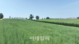 [포토] 안성팜랜드, 협이네 팜크닉 팝업스토어
