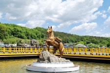 6·25전쟁 중국 침략에 맞선 軍馬 레클리스 연천서 위용 드러내