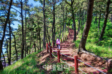 오늘의 쉼과 어제의 기억 머무는 바닷길이 열린다[여행]