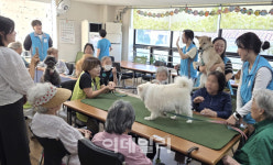 [포토] 관악구, 반려동물 행동교정