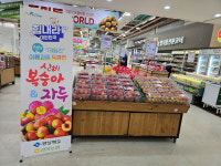경북도, 전국 하나로마트서 데일리 여름과일 특별전…최대 27% 할인