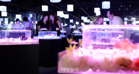 빛과 물 그리고 담수어의 만남, 아쿠아 갤러리: 물빛정원