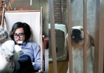 정재형, 축복이 근황 공개 옳지! 잘한다