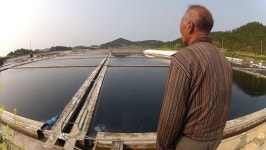 소금이 꽃피는 人生밭, 신의도 염전마을 사람들