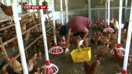 동물농장도 복지 바람…건강한 달걀로 승부