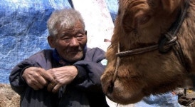 워낭소리 할아버지 별세 ‘누렁이 곁으로‘