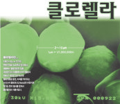 [맛&멋]클로렐라… 식품마다 ‘초록 영양’ 바람