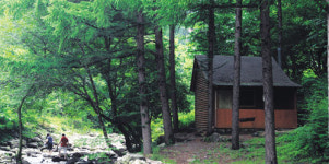 [여행]계곡물에 발 마사지… 숲 속에선 산소 샤워