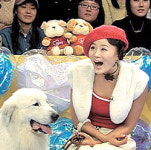 [방송]MBC ‘메리해피 쫑쫑’…스타들의 애완견 묘기 감상