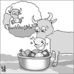 호주, 가뭄심각…가축들에 풀 대신 과일 공급