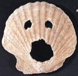 조개껍데기 속 선사시대 삶이… 조개문화재 특별전