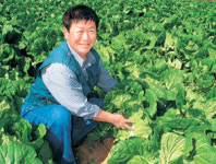 “배추가 金추… 없어서 못팔아요”
