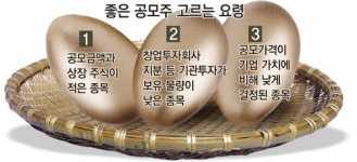 [금융플라자]공모주, 발품 팔면 명품 보여요