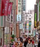 [수도권]동대문… 명동… 이름만 관광특구