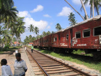 [강금실 여성인권대사의 인권여행]<下>스리랑카