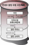 수협-주유소-어민 ‘면세유 복마전’