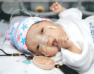 가냘픈 어린 생명들 ‘조마조마’