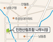 [수도권]“묘목 600종 싸게 팝니다” 인천 수산동에 나무시장