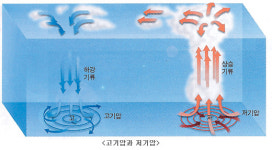 [理知논술/교과서로 논술 잡기]과학영역