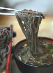 [소문난 집-맛의 비밀]남대문로 ‘송옥’ 메밀 국수