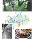 [대전/충남]대전지하철 100배 즐기기<1>판암역