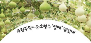 2007년 상반기 펀드 결산…중소형주 ‘열매’ 맺었네