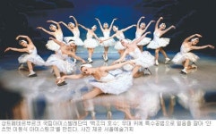 [바캉스특집]아이스발레 인형극 뮤지컬…시원한 감동의 무대
