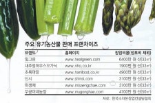 [프랜차이즈풍향계]<3>친환경 농산물 판매점