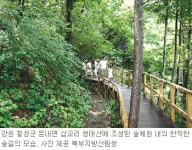 [강원]‘숲체원’으로 소풍오세요