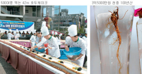 [대전/충남]와! 진기한 볼거리 눈길 잡네