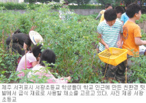 [제주]제주 초등교 ‘급식용 유기농 텃밭’ 확산